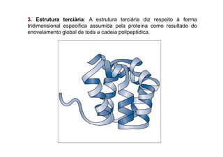 3. Estrutura terciária: A estrutura terciária diz respeito à forma
tridimensional específica assumida pela proteína como resultado do
enovelamento global de toda a cadeia polipeptídica.
 