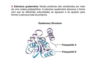4. Estrutura quaternária: Muitas proteínas são constituídas por mais
de uma cadeia polipeptídica. A estrutura quaternária descreve a forma
com que as diferentes subunidades se agrupam e se ajustam para
formar a estrutura total da proteína.
 