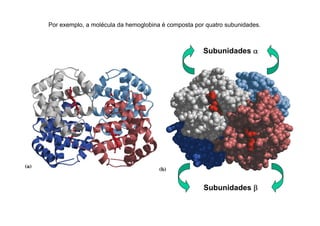 Por exemplo, a molécula da hemoglobina é composta por quatro subunidades.
Subunidades αααα
Subunidades ββββ
 