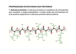 PROPRIEDADES ESTRUTURAIS DAS PROTEÍNAS
1. Estrutura primária: A estrutura primária é a seqüência de aminoácidos
que compõem a cadeia polipeptídica. A ordem exata dos aminoácidos em
uma proteína específica é a estrutura primária dessa proteína.
 