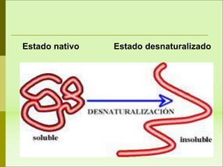 Estado nativo Estado desnaturalizado
 