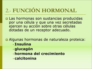 2.- FUNCIÓN HORMONAL
 Las hormonas son sustancias producidas
por una célula y que una vez secretadas
ejercen su acción sobre otras células
dotadas de un receptor adecuado.
 Algunas hormonas de naturaleza proteica:
• Insulina
• glucagón
• hormona del crecimiento
• calcitonina
 