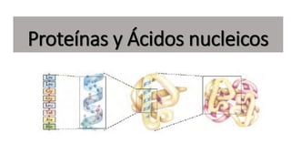 Proteínas y Ácidos nucleicos
 