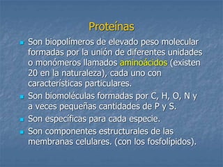 Proteínas
 Son biopolímeros de elevado peso molecular
formadas por la unión de diferentes unidades
o monómeros llamados aminoácidos (existen
20 en la naturaleza), cada uno con
características particulares.
 Son biomoléculas formadas por C, H, O, N y
a veces pequeñas cantidades de P y S.
 Son específicas para cada especie.
 Son componentes estructurales de las
membranas celulares. (con los fosfolípidos).
 