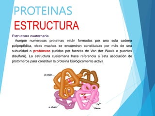 PROTEINAS
ESTRUCTURA
Estructura cuaternaria
Aunque numerosas proteínas están formadas por una sola cadena
polipeptídica, otras muchas se encuentran constituidas por más de una
subunidad o protómero (unidas por fuerzas de Van der Waals o puentes
disulfuro). La estructura cuaternaria hace referencia a esta asociación de
protómeros para constituir la proteína biológicamente activa.
 