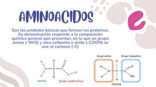 Diapositivas de apoyo de Proteínas de bioquímica.pdf