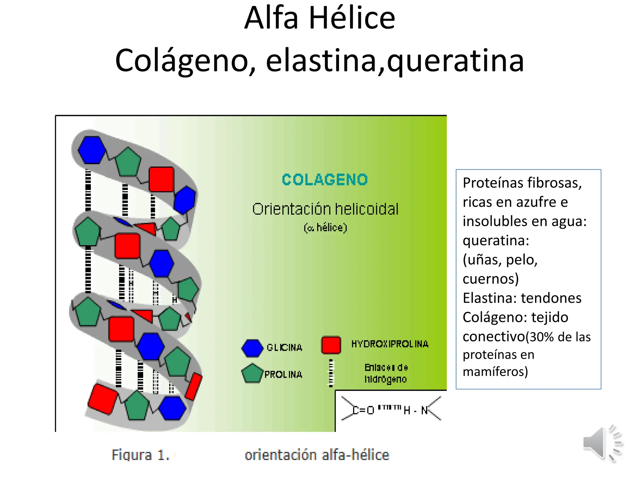 PROTEINAS_ presentacion clase biologia celular | PPTX