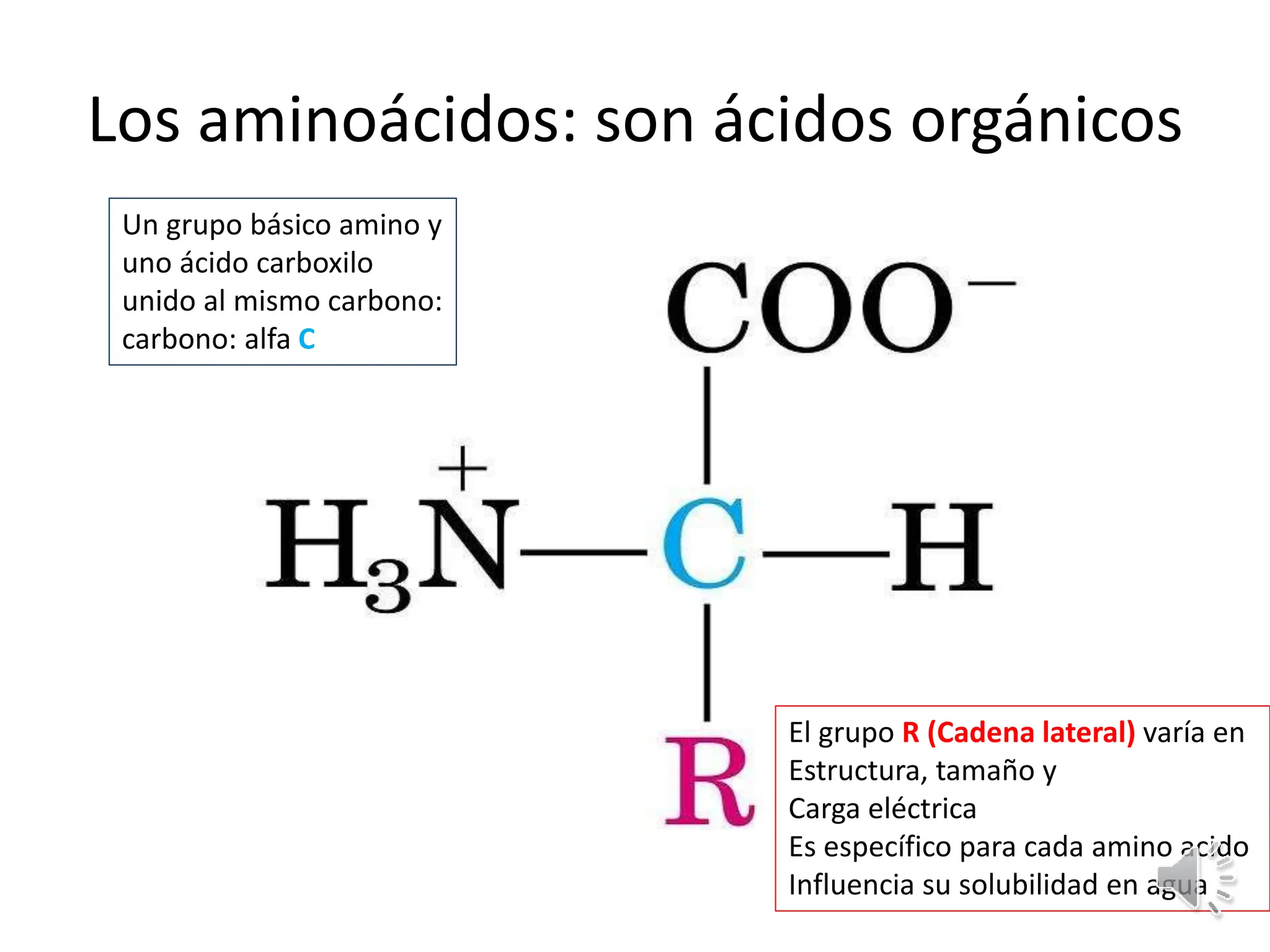 PROTEINAS_ presentacion clase biologia celular | PPTX