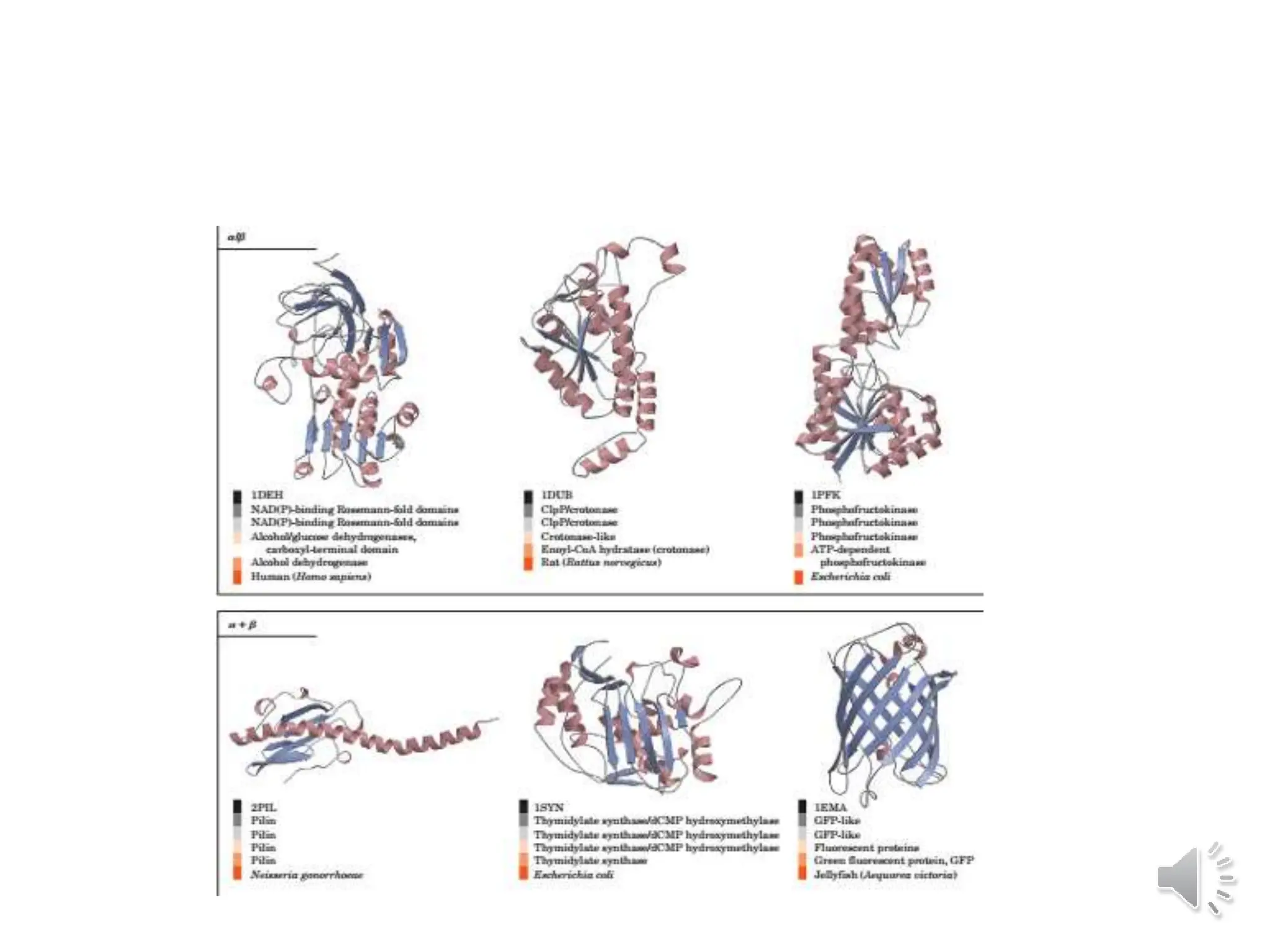 PROTEINAS_ presentacion clase biologia celular | PPTX