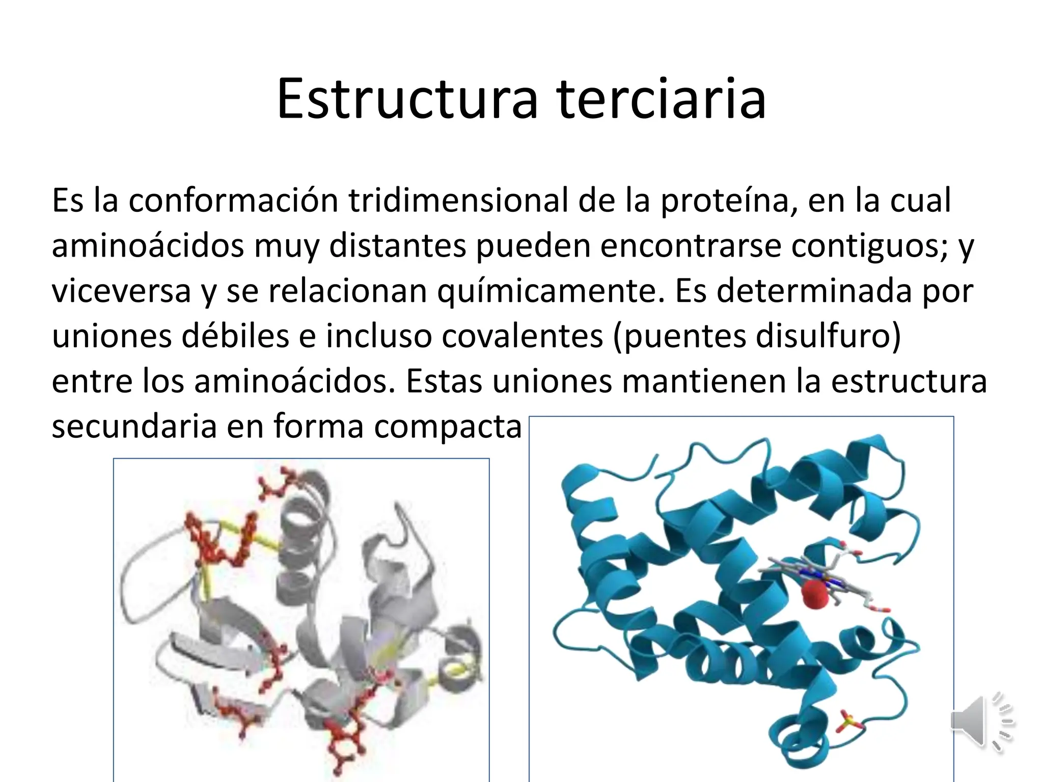 PROTEINAS_ presentacion clase biologia celular | PPTX