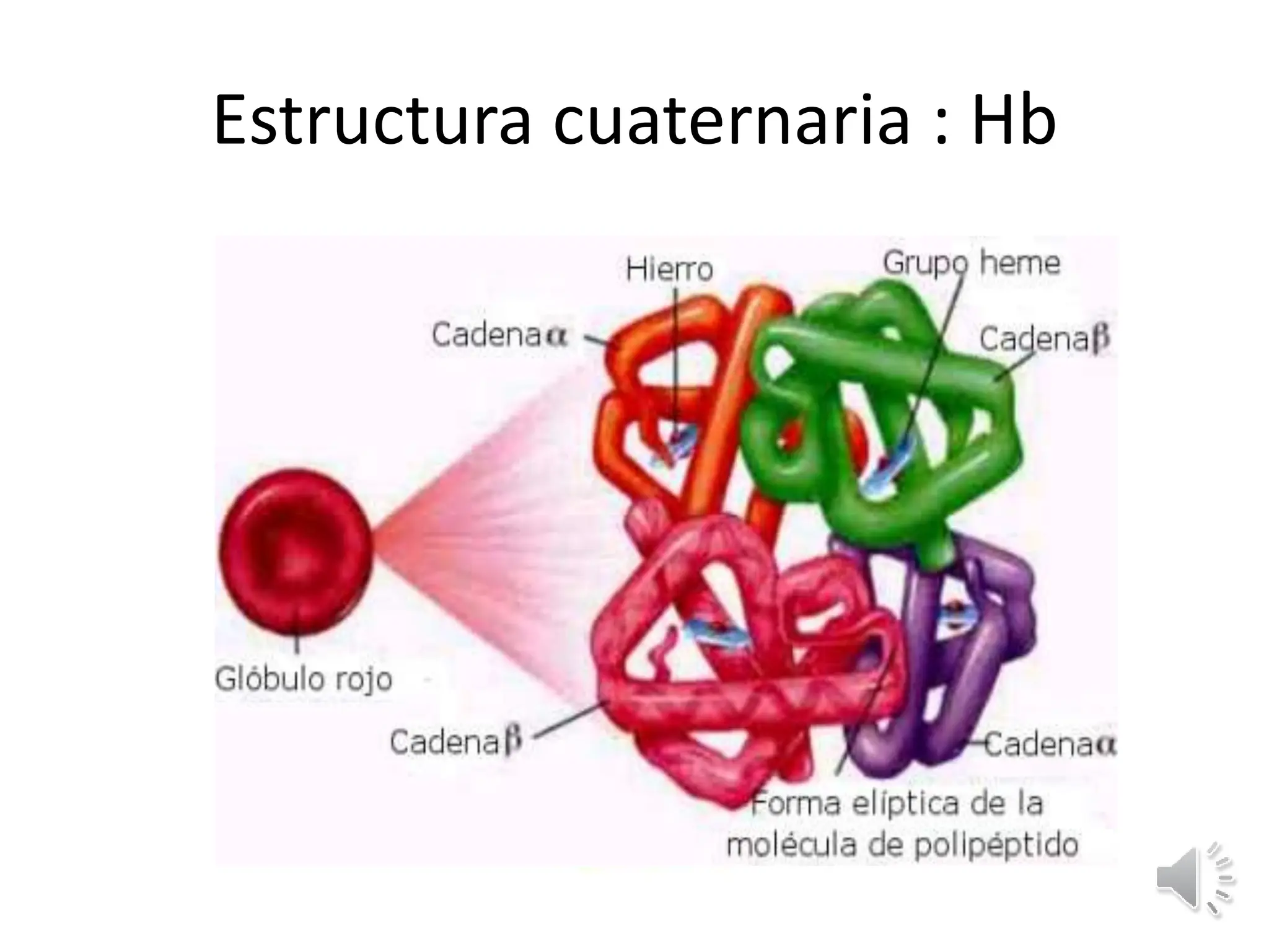 PROTEINAS_ presentacion clase biologia celular | PPTX