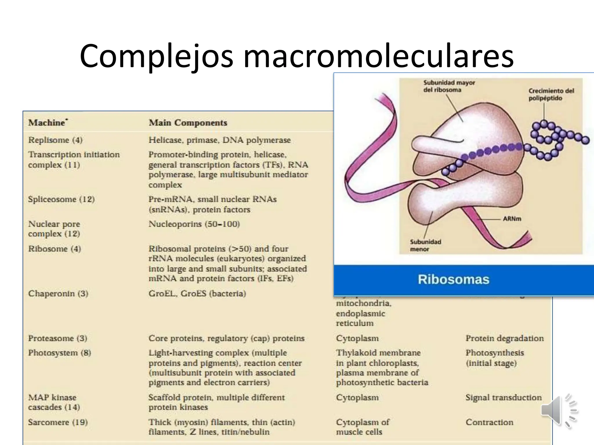 PROTEINAS_ presentacion clase biologia celular | PPTX