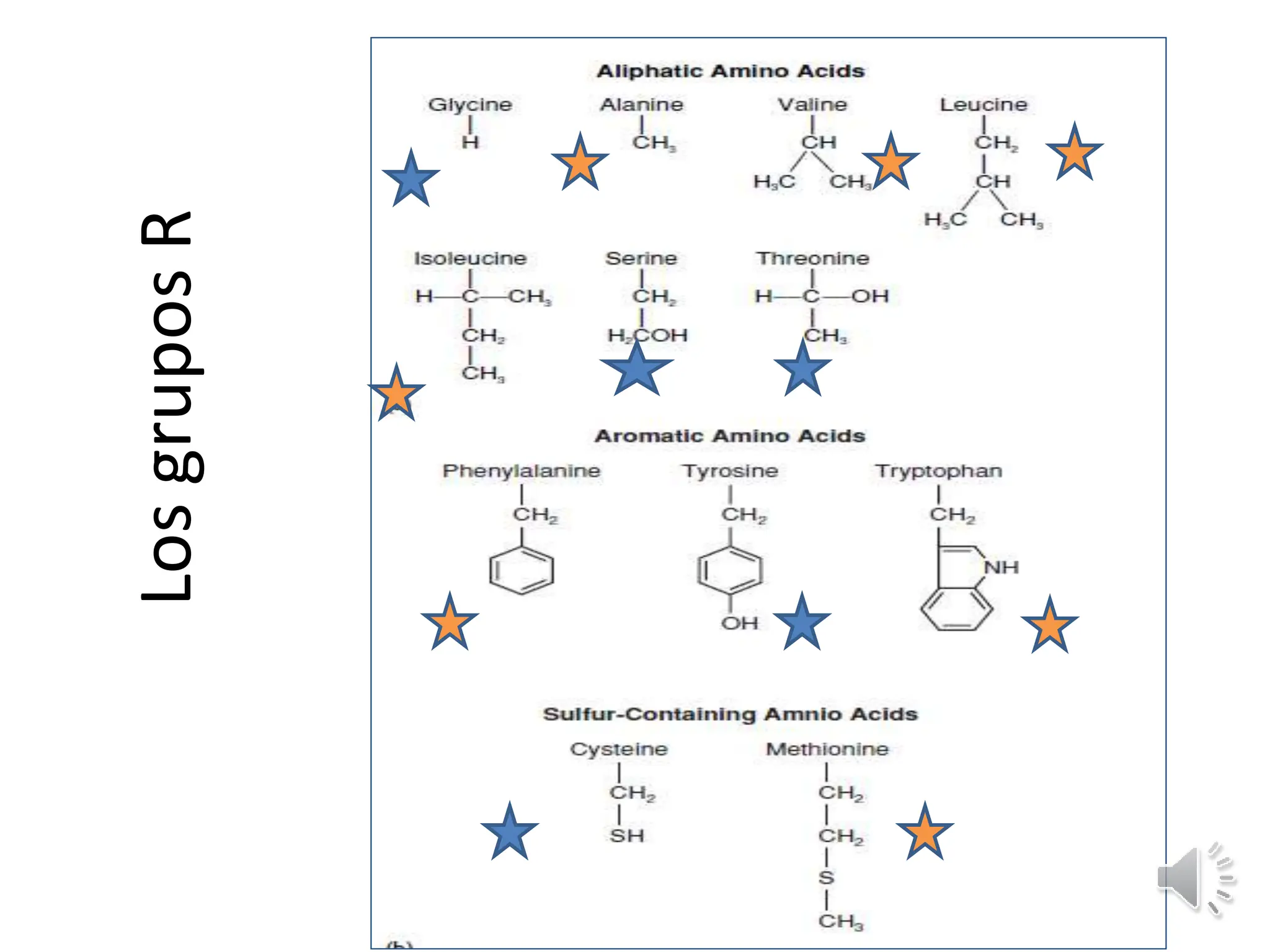 PROTEINAS_ presentacion clase biologia celular | PPTX
