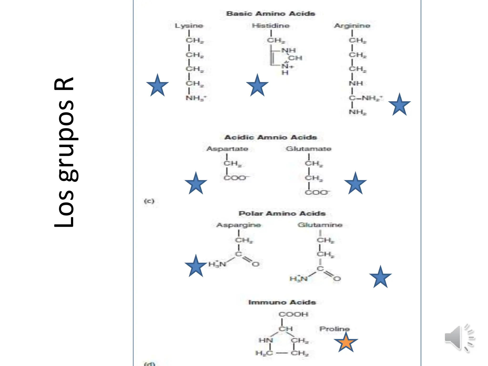 PROTEINAS_ presentacion clase biologia celular | PPTX