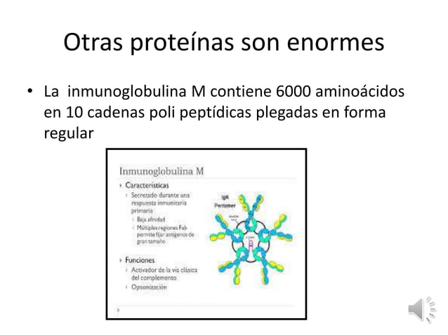 PROTEINAS_ presentacion clase biologia celular | PPTX
