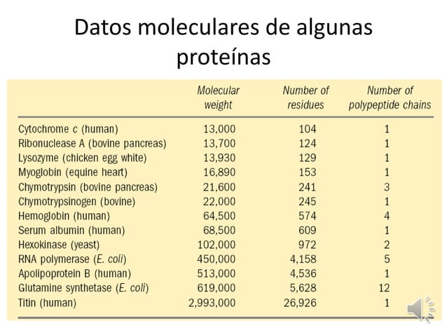 PROTEINAS_ presentacion clase biologia celular | PPTX