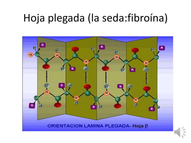 PROTEINAS_ presentacion clase biologia celular | PPTX