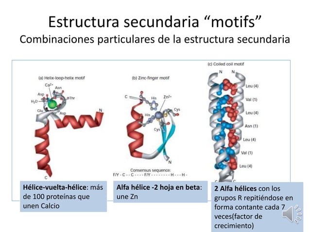 PROTEINAS_ presentacion clase biologia celular | PPTX