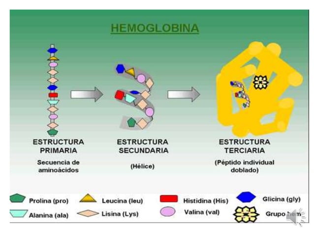 PROTEINAS_ presentacion clase biologia celular | PPTX
