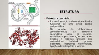 • Estrutura terciária:
• É a conformação tridimensional final e
funcional de uma única cadeia
polipeptídica;
• Ela resulta do dobramento
(enovelamento) da estrutura
secundária sobre si mesma,
estabilizada por interações entre os
grupos R (cadeias laterais) dos
aminoácidos, incluindo pontes
dissulfeto, interações hidrofóbicas,
ligações de hidrogênio e iônicas.
ESTRUTURA
 