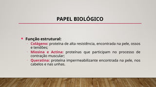 PAPEL BIOLÓGICO
 Função estrutural:
• Colágeno: proteína de alta resistência, encontrada na pele, ossos
e tendões;
• Miosina e Actina: proteínas que participam no processo de
contração muscular;
• Queratina: proteína impermeabilizante encontrada na pele, nos
cabelos e nas unhas.
 