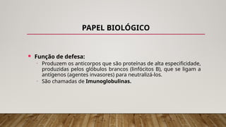 PAPEL BIOLÓGICO
 Função de defesa:
• Produzem os anticorpos que são proteínas de alta especificidade,
produzidas pelos glóbulos brancos (linfócitos B), que se ligam a
antígenos (agentes invasores) para neutralizá-los.
• São chamadas de Imunoglobulinas.
 
