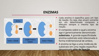 ENZIMAS
 Cada enzima é específica para um tipo
de reação. Ou seja, elas atuam somente
em um determinado composto e
efetuam sempre o mesmo tipo de
reação.
 O composto sobre o qual a enzima
age é genericamente denominado
substrato. A grande especificidade
enzima-substrato está relacionada à
forma tridimensional de ambos.
 A enzima se liga a uma molécula de
substrato em uma região específica
denominada sítio de ligação.
 