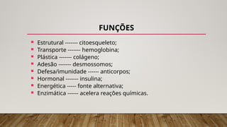 FUNÇÕES
 Estrutural ------- citoesqueleto;
 Transporte ------- hemoglobina;
 Plástica ------- colágeno;
 Adesão ------- desmossomos;
 Defesa/imunidade ------ anticorpos;
 Hormonal ------- insulina;
 Energética ----- fonte alternativa;
 Enzimática ------ acelera reações químicas.
 
