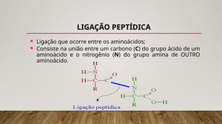 LIGAÇÃO PEPTÍDICA
 Ligação que ocorre entre os aminoácidos;
 Consiste na união entre um carbono (C) do grupo ácido de um
aminoácido e o nitrogênio (N) do grupo amina de OUTRO
aminoácido.
 