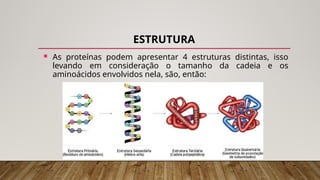 ESTRUTURA
 As proteínas podem apresentar 4 estruturas distintas, isso
levando em consideração o tamanho da cadeia e os
aminoácidos envolvidos nela, são, então:
 
