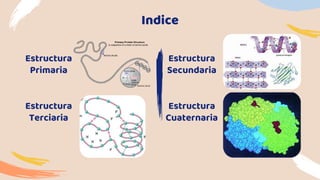 Indice
Estructura
Primaria
Estructura
Secundaria
Estructura
Terciaria
Estructura
Cuaternaria
 