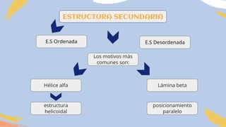 estructura
helicoidal
E.S Desordenada
Los motivos más
comunes son:
E.S Ordenada
Lámina betaHélice alfa
posicionamiento
paralelo
ESTRUCTURA SECUNDARIA
 