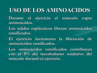 UUSSOO DDEE LLOOSS AAMMIINNOOAACCIIDDOOSS 
• DDuurraannttee eell eejjeerrcciicciioo eell mmúússccuulloo ccaappttaa 
aammiinnooáácciiddooss.. 
• LLooss tteejjiiddooss eessppllááccnniiccooss lliibbeerraann aammiinnooáácciiddooss 
rraammiiffiiccaaddooss.. 
• EEll eejjeerrcciicciioo iinnccrreemmeennttaa llaa lliibbeerraacciióónn ddee 
aammiinnooáácciiddooss rraammiiffiiccaaddooss.. 
• LLooss aammiinnooáácciiddooss rraammiiffiiccaaddooss ccoonnttrriibbuuyyeenn 
ccoonn eell 55%% ddeell mmeettaabboolliissmmoo ooxxiiddaattiivvoo ddeell 
mmúússccuulloo dduurraannttee eell eejjeerrcciicciioo.. 
 