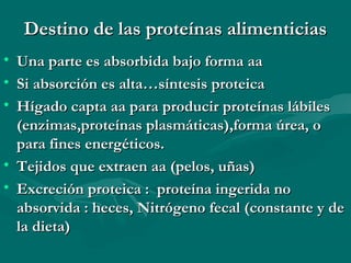 Destino ddee llaass pprrootteeíínnaass aalliimmeennttiicciiaass 
• UUnnaa ppaarrttee eess aabbssoorrbbiiddaa bbaajjoo ffoorrmmaa aaaa 
• SSii aabbssoorrcciióónn eess aallttaa……ssíínntteessiiss pprrootteeiiccaa 
• HHííggaaddoo ccaappttaa aaaa ppaarraa pprroodduucciirr pprrootteeíínnaass lláábbiilleess 
((eennzziimmaass,,pprrootteeíínnaass ppllaassmmááttiiccaass)),,ffoorrmmaa úúrreeaa,, oo 
ppaarraa ffiinneess eenneerrggééttiiccooss.. 
• TTeejjiiddooss qquuee eexxttrraaeenn aaaa ((ppeellooss,, uuññaass)) 
• EExxccrreecciióónn pprrootteeiiccaa :: pprrootteeíínnaa iinnggeerriiddaa nnoo 
aabbssoorrvviiddaa :: hheecceess,, NNiittrróóggeennoo ffeeccaall ((ccoonnssttaannttee yy ddee 
llaa ddiieettaa)) 
 