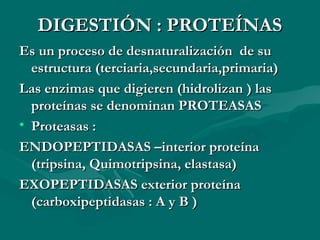 DDIIGGEESSTTIIÓÓNN :: PPRROOTTEEÍÍNNAASS 
EEss uunn pprroocceessoo ddee ddeessnnaattuurraalliizzaacciióónn ddee ssuu 
eessttrruuccttuurraa ((tteerrcciiaarriiaa,,sseeccuunnddaarriiaa,,pprriimmaarriiaa)) 
LLaass eennzziimmaass qquuee ddiiggiieerreenn ((hhiiddrroolliizzaann )) llaass 
pprrootteeíínnaass ssee ddeennoommiinnaann PPRROOTTEEAASSAASS 
• PPrrootteeaassaass :: 
EENNDDOOPPEEPPTTIIDDAASSAASS ––iinntteerriioorr pprrootteeíínnaa 
((ttrriippssiinnaa,, QQuuiimmoottrriippssiinnaa,, eellaassttaassaa)) 
EEXXOOPPEEPPTTIIDDAASSAASS eexxtteerriioorr pprrootteeíínnaa 
((ccaarrbbooxxiippeeppttiiddaassaass :: AA yy BB )) 
 
