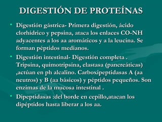 DDIIGGEESSTTIIÓÓNN DDEE PPRROOTTEEÍÍNNAASS 
• DDiiggeessttiióónn ggáássttrriiccaa-- PPrriimmeerraa ddiiggeessttiióónn,, áácciiddoo 
cclloorrhhííddrriiccoo yy ppeeppssiinnaa,, aattaaccaa llooss eennllaacceess CCOO--NNHH 
aaddyyaacceenntteess aa llooss aaaa aarroommááttiiccooss yy aa llaa lleeuucciinnaa.. SSee 
ffoorrmmaann ppééppttiiddooss mmeeddiiaannooss.. 
• DDiiggeessttiióónn iinntteessttiinnaall-- DDiiggeessttiióónn ccoommpplleettaa .. 
TTrriippssiinnaa,, qquuiimmoottrriippssiinnaa,, eellaassttaassaa ((ppaannccrreeááttiiccaass)) 
,,aaccttúúaann eenn pphh aallccaalliinnoo.. CCaarrbbooxxiippeeppttiiddaassaass AA ((aaaa 
nneeuuttrrooss)) yy BB ((aaaa bbáássiiccooss)) yy ppééppttiiddooss ppeeqquueeññooss.. SSoonn 
eennzziimmaass ddee llaa mmuuccoossaa iinntteessttiinnaall .. 
• DDiippeeppttiiddaassaass ::ddeell bboorrddee eenn cceeppiilllloo,,aattaaccaann llooss 
ddiippééppttiiddooss hhaassttaa lliibbeerraarr aa llooss aaaa.. 
 