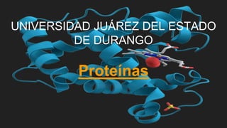 UNIVERSIDAD JUÁREZ DEL ESTADO
DE DURANGO
Proteínas
 