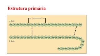 Estrutura primária
 