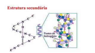 Estrutura secundária
 