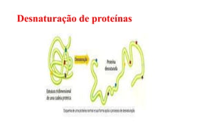 Desnaturação de proteínas
 