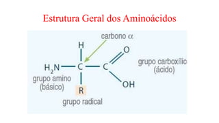 Estrutura Geral dos Aminoácidos
 
