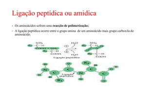 Ligação peptídica ou amidica
- Os aminoácidos sofrem uma reacção de polimerização;
- A ligação peptídica ocorre entre o grupo amina de um aminoácido mais grupo carboxila do
aminoácido.
 