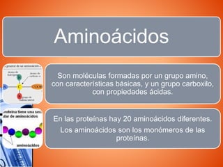 Proteinas | PPTX | Endocrine and Metabolic Diseases | Diseases and ...