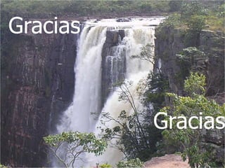 Gracias
Gracias
 