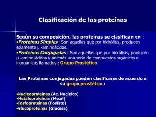 Clasificación de las proteínas
Según su composición, las proteínas se clasifican en :
•Proteínas Simples : Son aquellas que por hidrólisis, producen
solamente µ -aminoácidos.
•Proteínas Conjugadas : Son aquellas que por hidrólisis, producen
µ -amino-ácidos y además una serie de compuestos orgánicos e
inorgánicos llamados : Grupo Prostético.
Las Proteínas conjugadas pueden clasificarse de acuerdo a
su grupo prostético :
•Nucleoproteínas (Ac. Nucleíco)
•Metaloproteínas (Metal)
•Fosfoproteínas (Fosfato)
•Glucoproteínas (Glucosa)
 