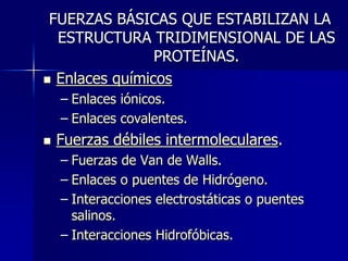 FUERZAS BÁSICAS QUE ESTABILIZAN LA
ESTRUCTURA TRIDIMENSIONAL DE LAS
PROTEÍNAS.
 Enlaces químicos
– Enlaces iónicos.
– Enlaces covalentes.
 Fuerzas débiles intermoleculares.
– Fuerzas de Van de Walls.
– Enlaces o puentes de Hidrógeno.
– Interacciones electrostáticas o puentes
salinos.
– Interacciones Hidrofóbicas.
 