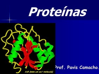 Proteínas
Prof. Pavis Camacho.
 