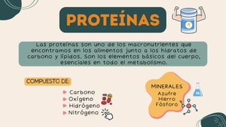 proteínas
Las proteínas son uno de los macronutrientes que
encontramos en los alimentos junto a los hidratos de
carbono y lípidos. Son los elementos básicos del cuerpo,
esenciales en todo el metabolismo.
COMPUESTO DE:
Carbono
Oxígeno
Hidrógeno
Nitrógeno
MINERALES
MINERALES
Azufre
Hierro
Fósforo
 