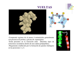 VUELTAS




-Comprende regiones de al menos 4 aminoácidos generalmente
con presencia de prolina y glicina (tb. asparragina).
-Están presentes en la transición entre diferentes tipos de
estructuras secundarias dentro de una cadena polipeptídica.
-Plegamiento establecido por la formación de puentes hidrógeno
en las posiciones 1 y 4.
 