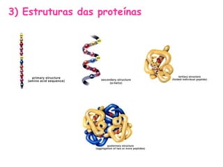3) Estruturas das proteínas
 